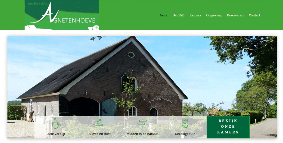 wordpress website expert regio Nijmegen